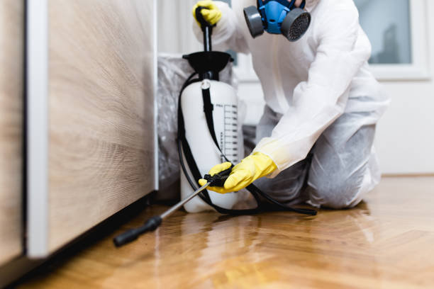 Best Pest Control Near Me  in Fair Lakes, VA