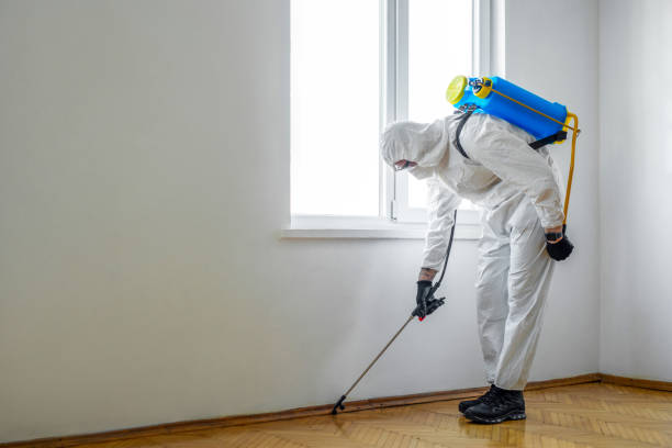 Best Best Pest Control Companies  in Fair Lakes, VA