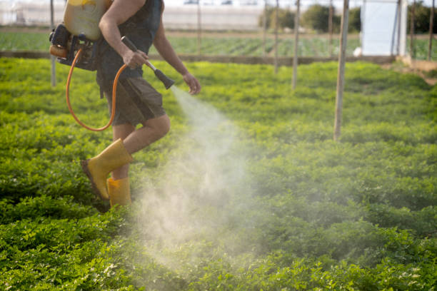 Best Ant Control Services  in Fair Lakes, VA