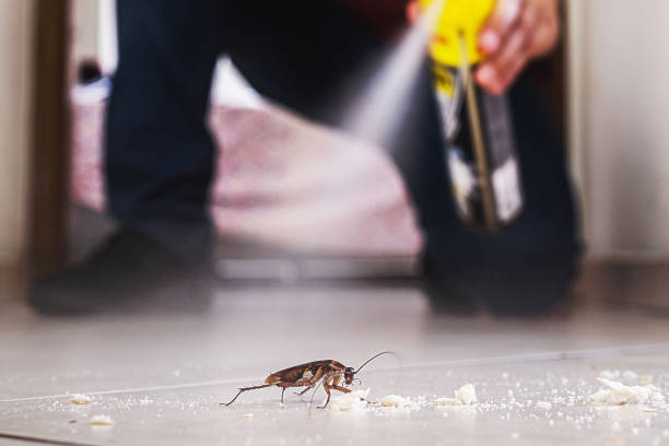 Best Pest Removal Services  in Fair Lakes, VA