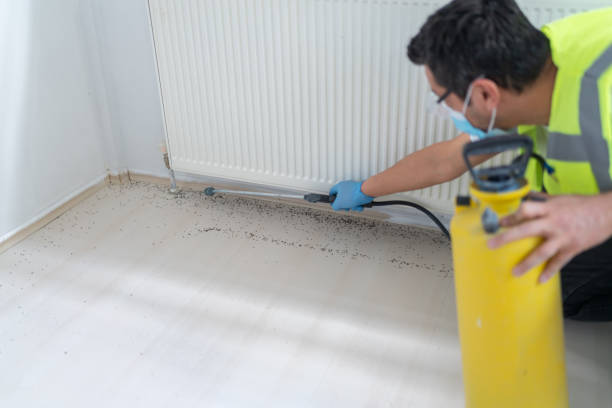 Best Residential Pest Control  in Fair Lakes, VA